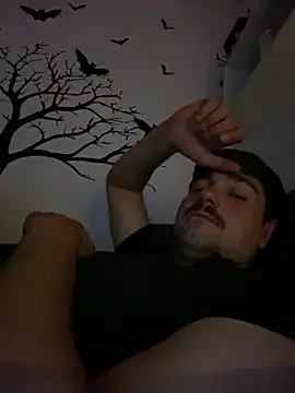 LienalWarplane Webcam-Show