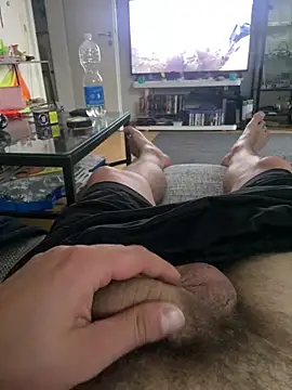 Show de LienalWarplane na webcam
