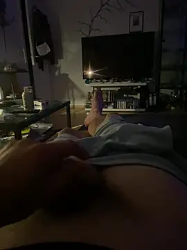LienalWarplane Webcam show