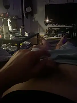 Show de webcam de LienalWarplane