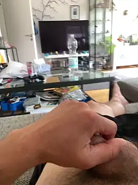 LienalWarplane Webcam-Show