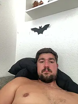 Show Webcam de LienalWarplane