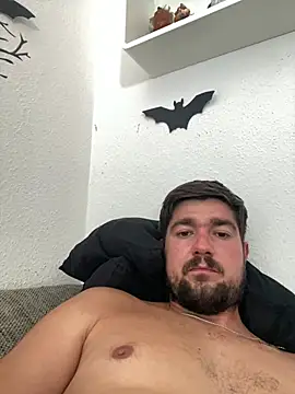 Show Webcam de LienalWarplane