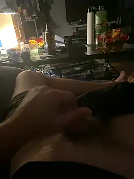 LienalWarplane Webcam-Show