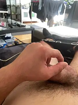 LienalWarplane webcam show