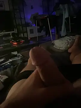 Show Webcam de LienalWarplane