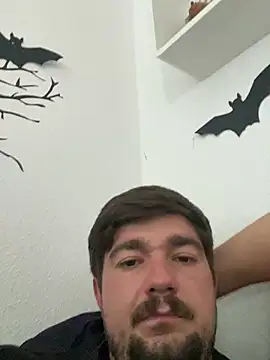 LienalWarplane Webcam-Show