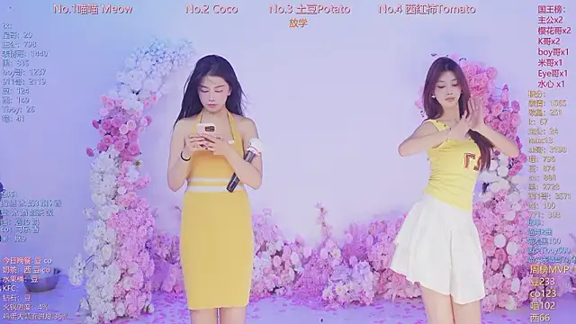 SSF-888のウェブカメラショー