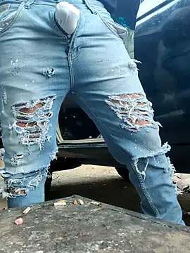 PIGHIGHDIRTY_p0 Show in webcam