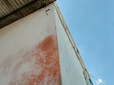 PIGHIGHDIRTY_p0n Webbikameraesitys