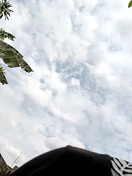 PIGHIGHDIRTY_p0 网络视讯表演