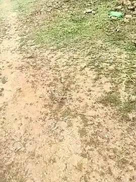 โชว์เว็บแคมของ Sheela_Sex90