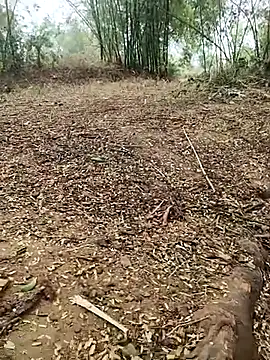 Sheela_Sex90 Show in webcam