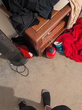 EnablingTomato Webcam show