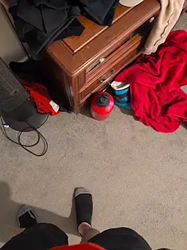 EnablingTomato Webcam show