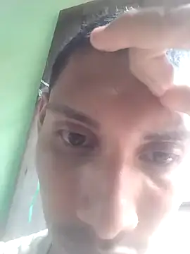 Show de gingavi na webcam