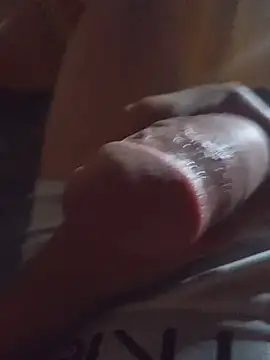Dennys800n Webbikameraesitys
