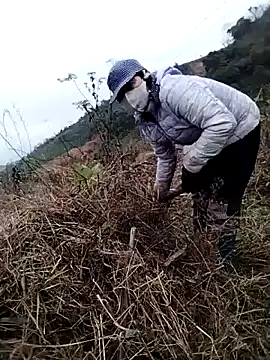 galaxy898 – Kamerová šou