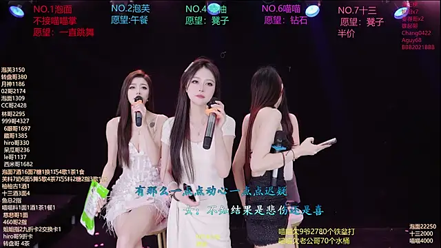 RV-525- 网络视讯表演