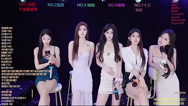 RV-525- 网络视讯表演