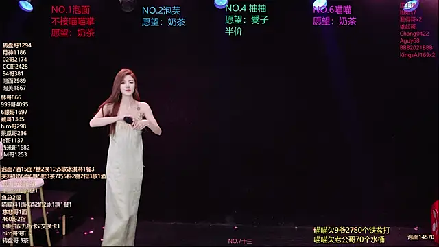 RV-525-のウェブカメラショー