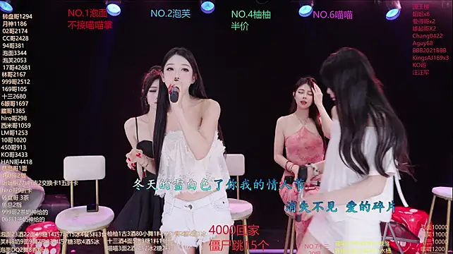 RV-525- 网络视讯表演