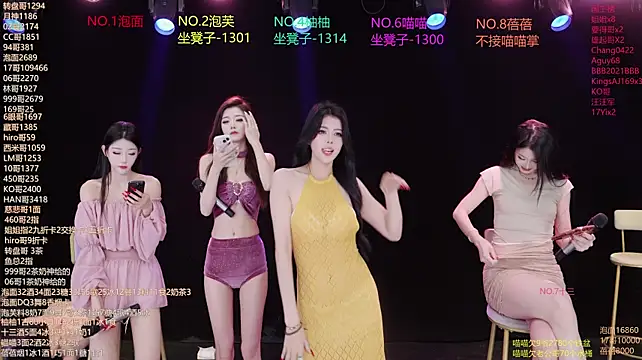 RV-525- 网络视讯表演