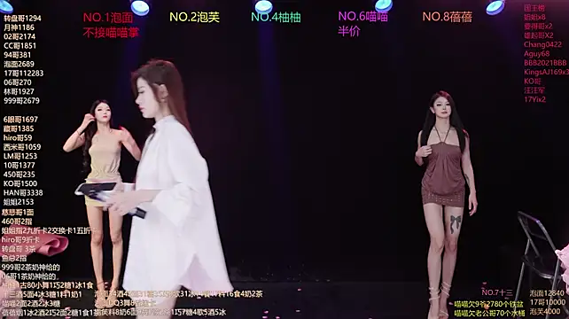 RV-525- 网络视讯表演
