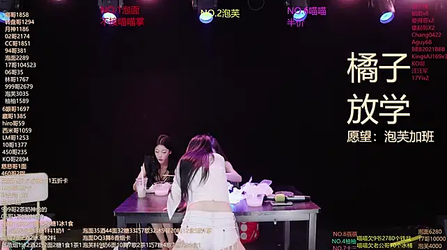 RV-525- 网络视讯表演