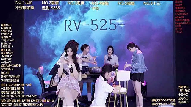 RV-525-n Webbikameraesitys