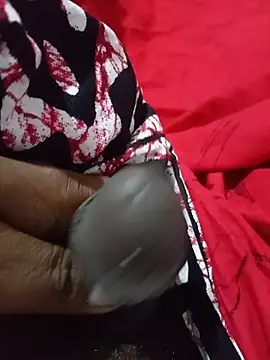 SLSRIXXX Show Webcam