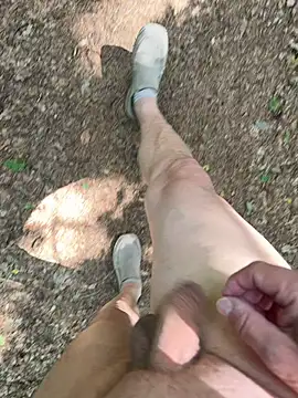 DickInTheWild Webcam-Show