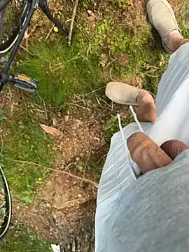 DickInTheWild Webcam-Show