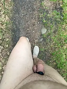 DickInTheWild Webcam-Show