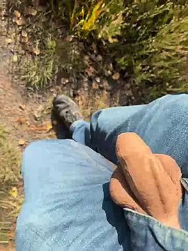 הופעת וובקאם של DickInTheWild