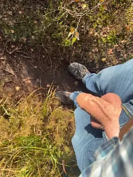 DickInTheWild Webcam-Show