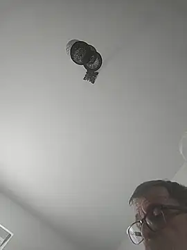 Show webcam de Tof6239