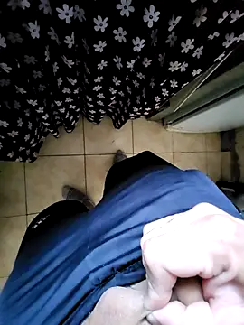 Brokkenwolf Webcam Show