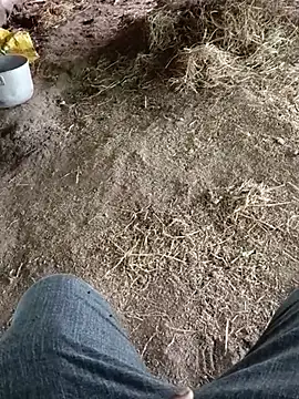 Pusssyfuc Show in webcam