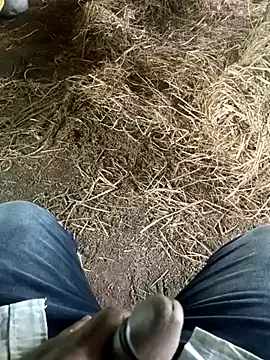 Pusssyfuc – webcam-show