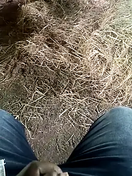 Pusssyfucのウェブカメラショー
