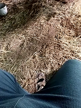 Pusssyfuc Webcam show