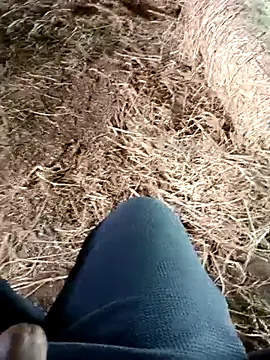 Pusssyfuc 在線直播表演