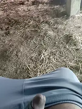 Pusssyfucのウェブカメラショー