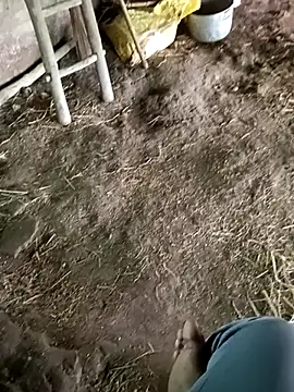 Pusssyfuc Live XXX-chat