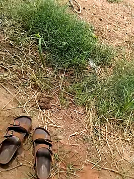 Pusssyfuc 网络视讯表演