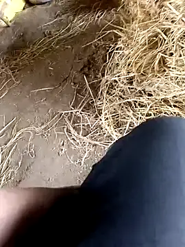 Pusssyfuc webkamerás műsora
