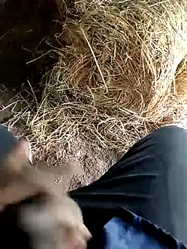 Pusssyfuc's Webcam Show