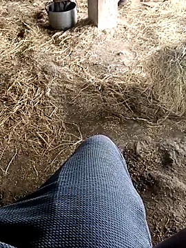 عرض كام Pusssyfuc