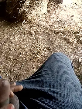 Pusssyfuc Webcam-Show